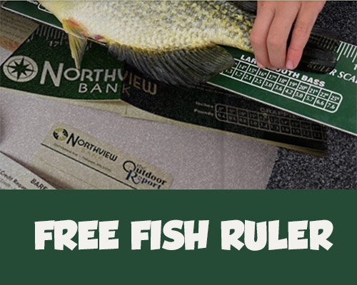 FREE Fish Ruler 