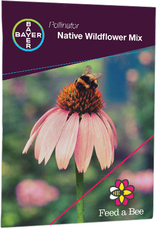 FREE Wildflower Seeds Packets